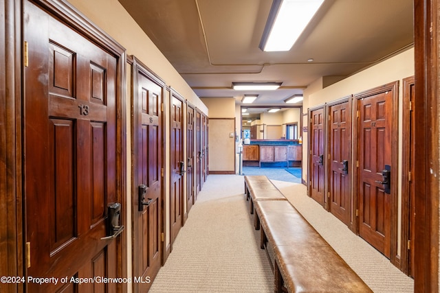 hallway with light colored carpet