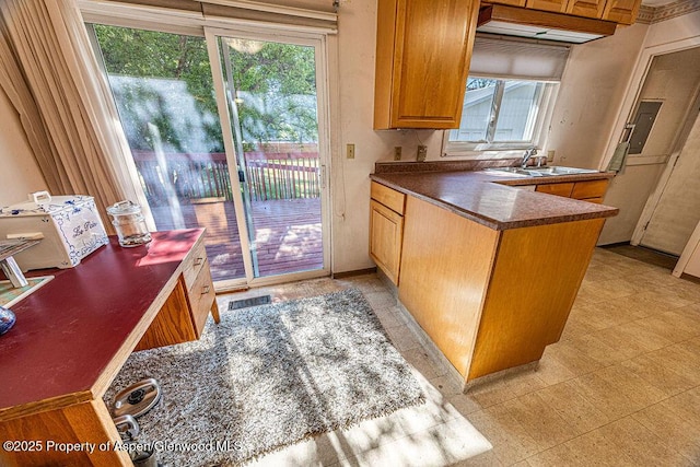 kitchen with sink and kitchen peninsula