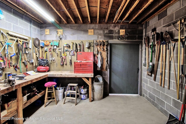 basement with a workshop area