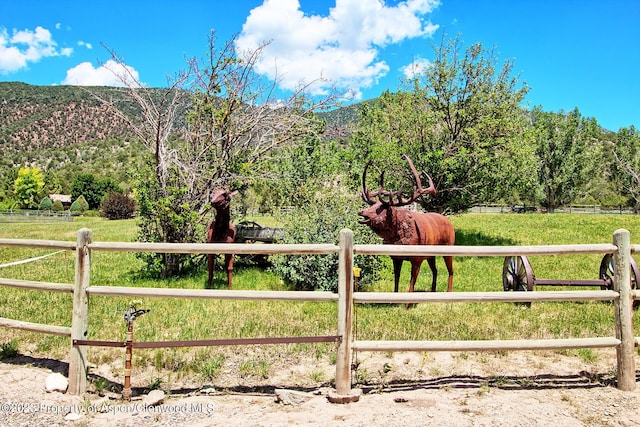 view of yard featuring a rural view