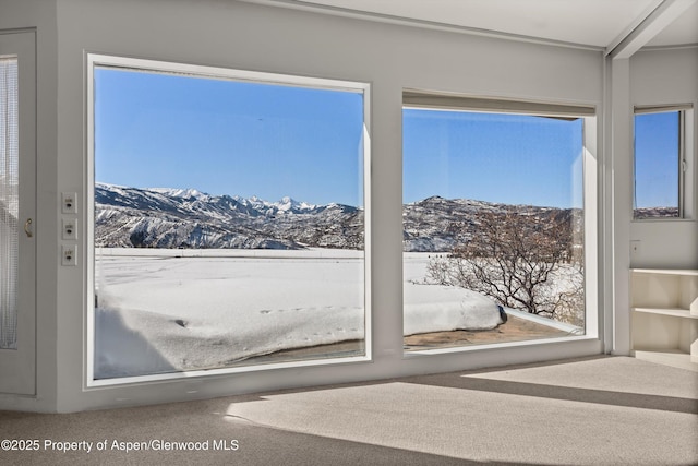 260 Star Mesa Rd, Aspen, CO 81611 - doorway to outside featuring a mountain view and healthy amount of natural light