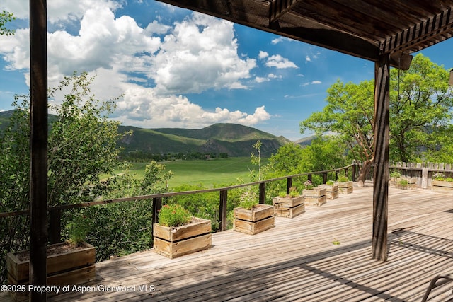 260 Star Mesa Rd, Aspen, CO 81611 - photo 21