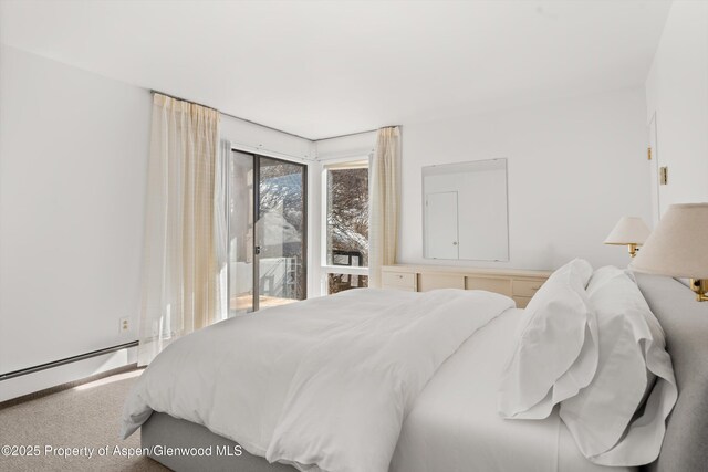 260 Star Mesa Rd, Aspen, CO 81611 - bedroom with baseboard heating, access to exterior, and carpet