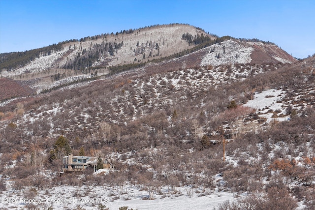 260 Star Mesa Rd, Aspen, CO 81611 - photo 45