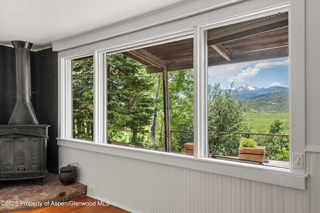 260 Star Mesa Rd, Aspen, CO 81611 - photo 14