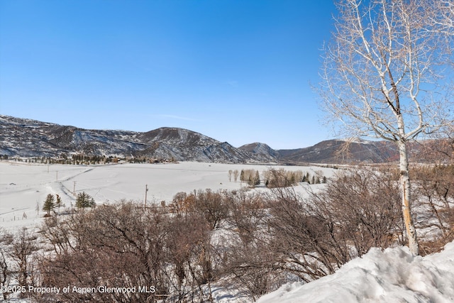 260 Star Mesa Rd, Aspen, CO 81611 - photo 39