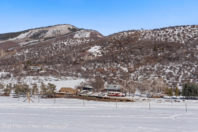 260 Star Mesa Rd, Aspen, CO 81611 - view of mountain background