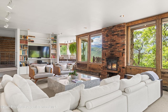 260 Star Mesa Rd, Aspen, CO 81611 - photo 3