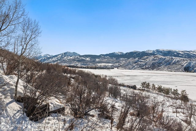 260 Star Mesa Rd, Aspen, CO 81611 - view of mountain backdrop