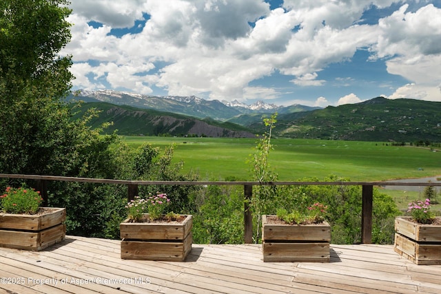 260 Star Mesa Rd, Aspen, CO 81611 - photo 22