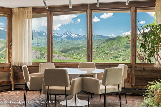 260 Star Mesa Rd, Aspen, CO 81611 - photo 6