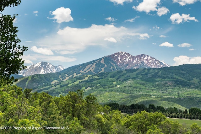 260 Star Mesa Rd, Aspen, CO 81611 - photo 1