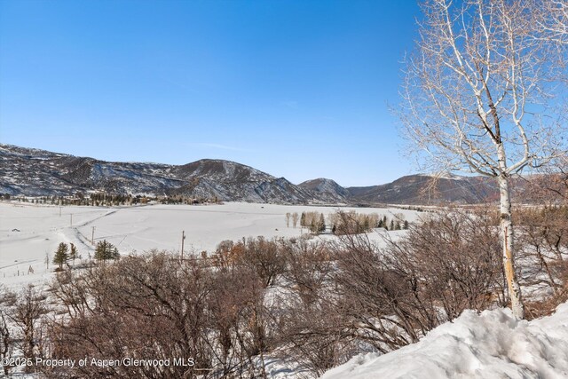260 Star Mesa Rd, Aspen, CO 81611 - view of mountain backdrop