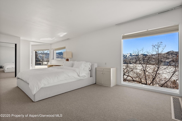 260 Star Mesa Rd, Aspen, CO 81611 - bedroom with carpet
