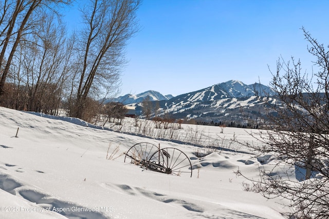 260 Star Mesa Rd, Aspen, CO 81611 - view of mountain background