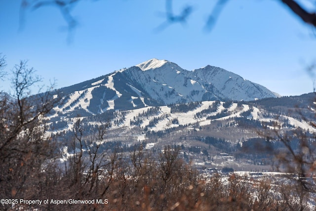260 Star Mesa Rd, Aspen, CO 81611 - photo 49