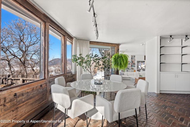 260 Star Mesa Rd, Aspen, CO 81611 - dining room featuring rail lighting and brick floors