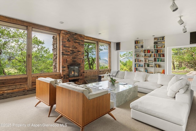 260 Star Mesa Rd, Aspen, CO 81611 - photo 4