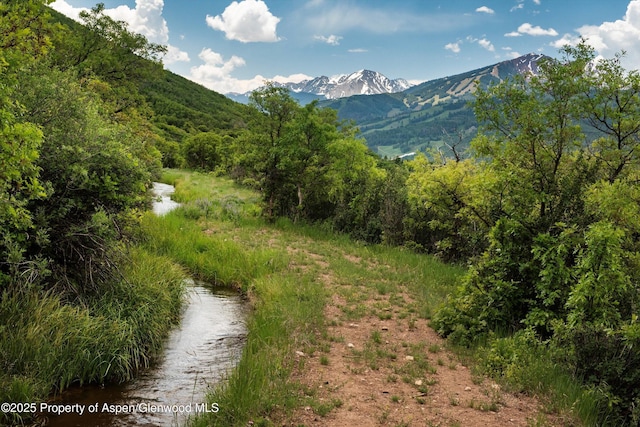 260 Star Mesa Rd, Aspen, CO 81611 - photo 29