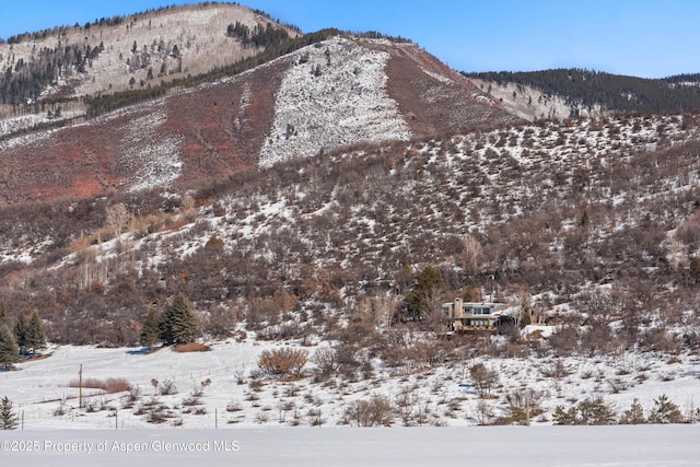 260 Star Mesa Rd, Aspen, CO 81611 - mountain view