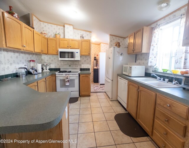 229 Capitol Ave, Carbondale, CO 81623 - photo 16
