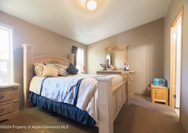 carpeted bedroom featuring multiple windows