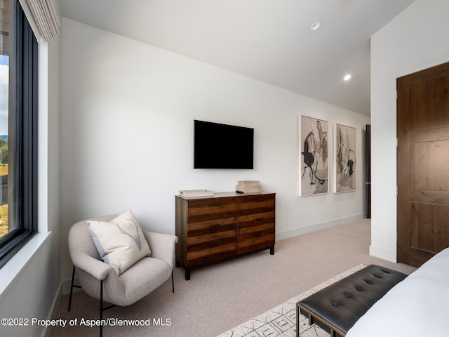 view of carpeted bedroom