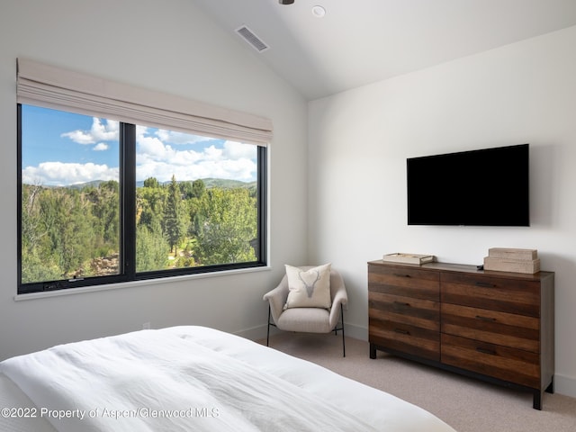 carpeted bedroom with multiple windows and lofted ceiling