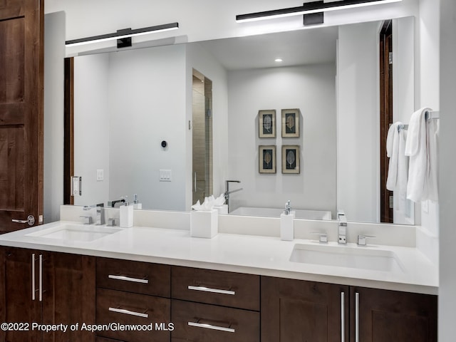 bathroom with vanity