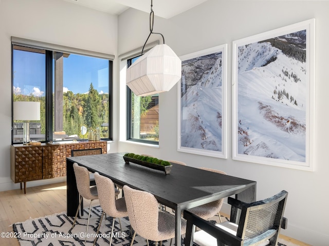 dining space featuring light hardwood / wood-style floors