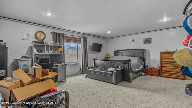 carpeted bedroom with a textured ceiling