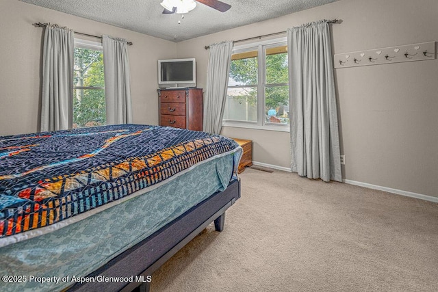 894 Ledford St, Craig, CO 81625 - photo 18