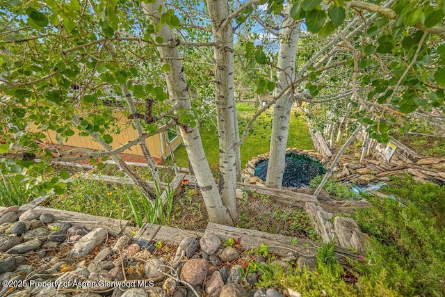 894 Ledford St, Craig, CO 81625 - photo 45