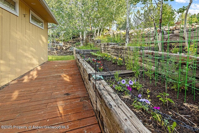 894 Ledford St, Craig, CO 81625 - photo 54