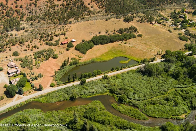 5129 Frying Pan Rd, Basalt, CO 81621 - photo 6