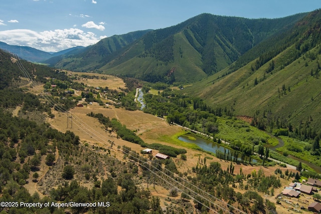 5129 Frying Pan Rd, Basalt, CO 81621 - photo 8