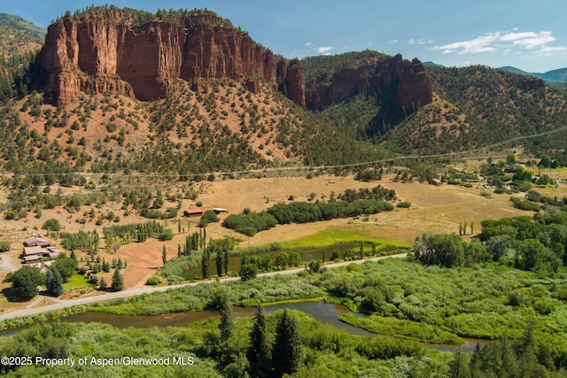 5129 Frying Pan Rd, Basalt, CO 81621 - photo 5