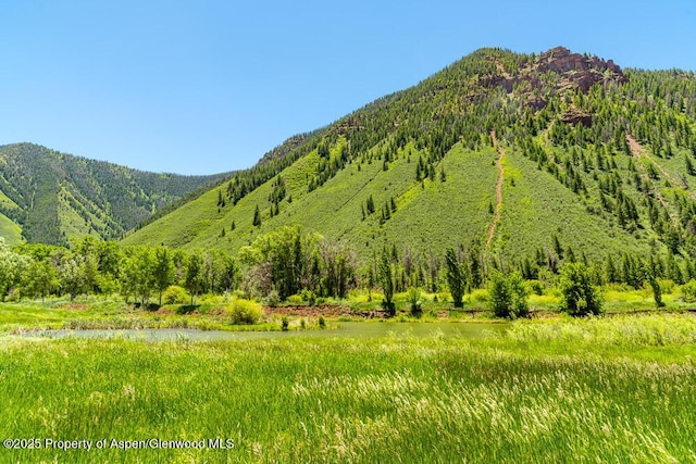 5129 Frying Pan Rd, Basalt, CO 81621 - photo 10