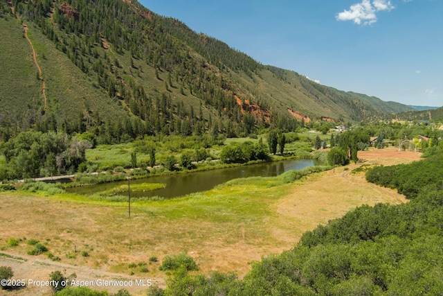 5129 Frying Pan Rd, Basalt, CO 81621 - photo 2