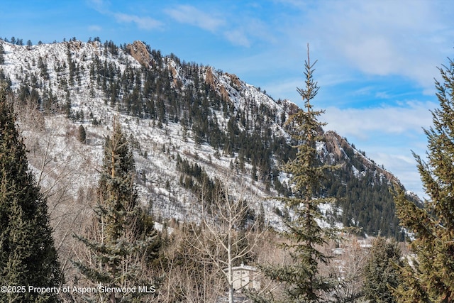 view of mountain feature with a forest view