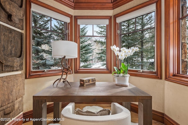 dining space with plenty of natural light