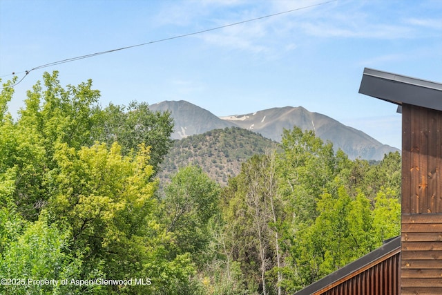 112 E Hillside Dr, Basalt, CO 81621 - photo 28