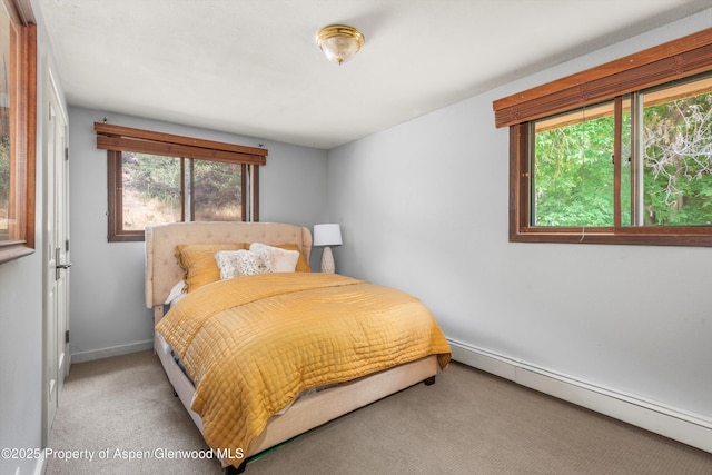 112 E Hillside Dr, Basalt, CO 81621 - photo 9