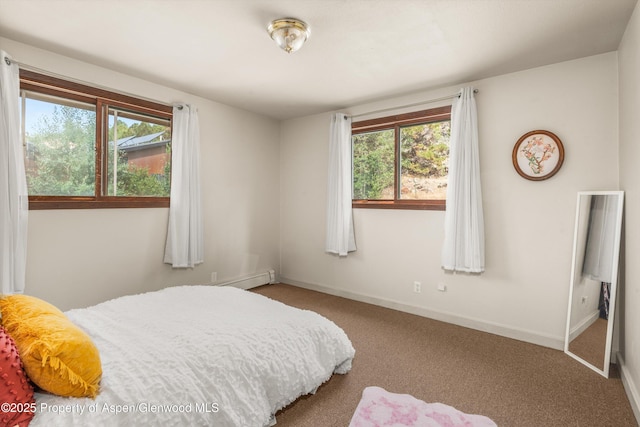 112 E Hillside Dr, Basalt, CO 81621 - photo 13