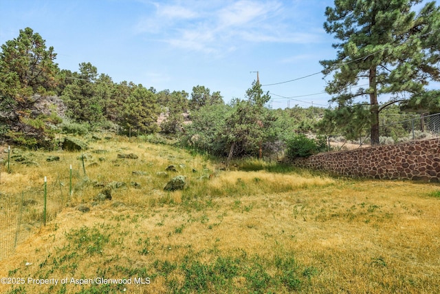 112 E Hillside Dr, Basalt, CO 81621 - photo 27