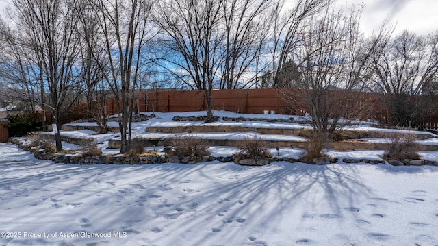 view of yard covered in snow