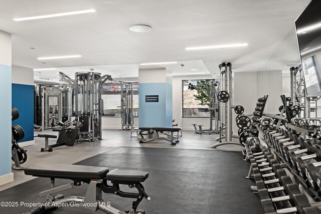 77 Wood Rd Unit 505E, Snowmass Village, CO 81615 - gym featuring plenty of natural light