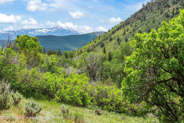 354 Snowmass Creek Rd, Snowmass, CO 81654