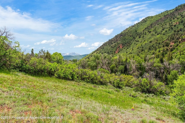 354 Snowmass Creek Rd, Snowmass, CO 81654
