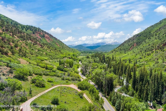 354 Snowmass Creek Rd, Snowmass, CO 81654